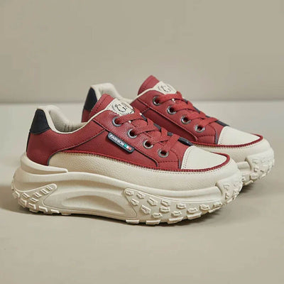 Rot